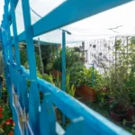 54169258719_06e33e2d21_o