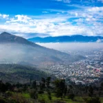 54530445249_27c36960bd_o