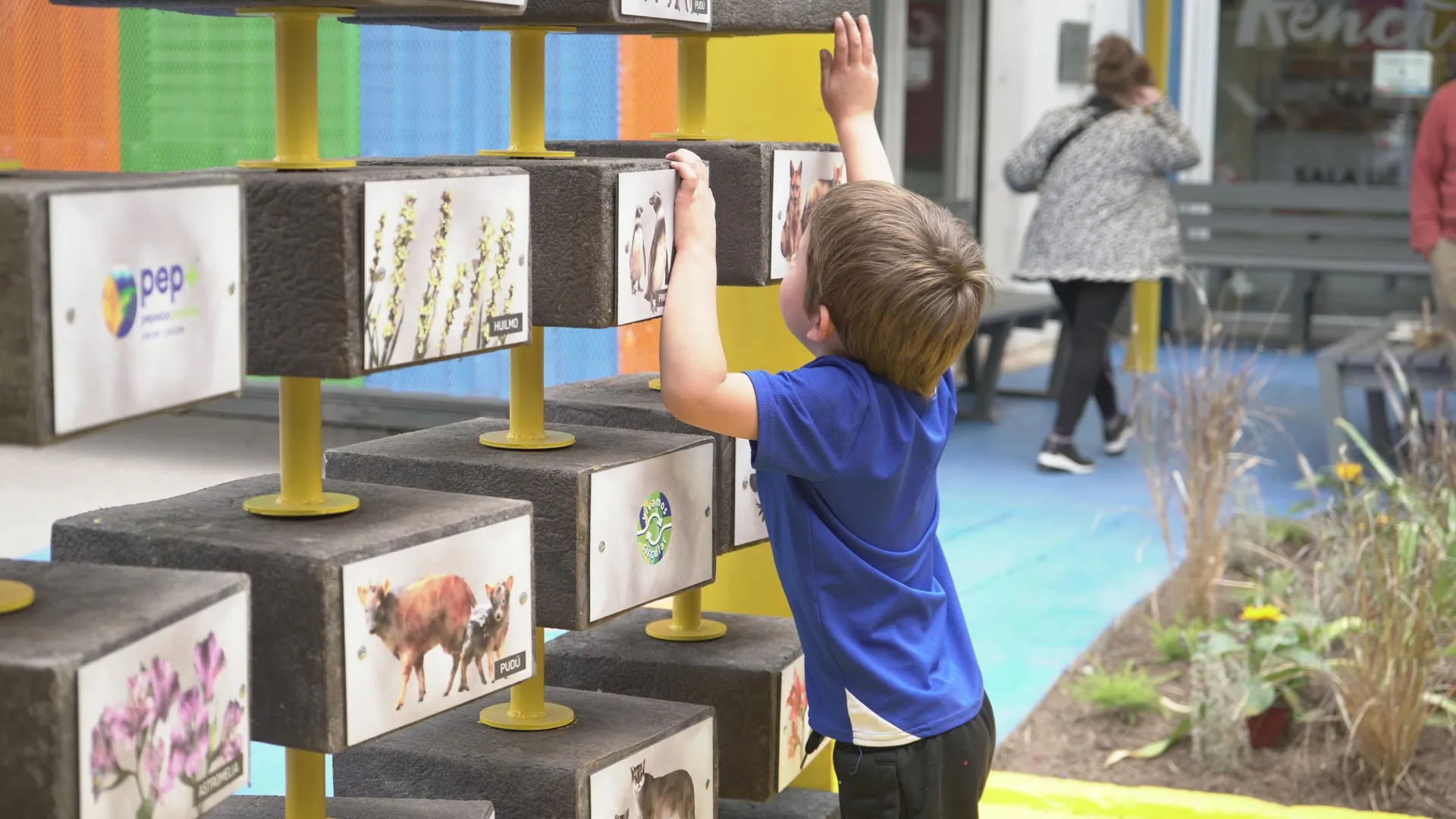 WhatsApp-Image-2024-12-05-at-5.36.04-PM-scaled